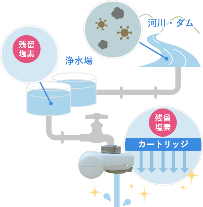 残留塩素を除去してみんなにやさしく。