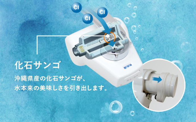 化石サンゴ